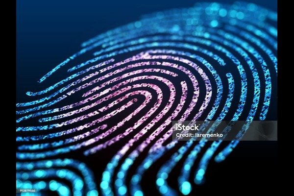 employee background check